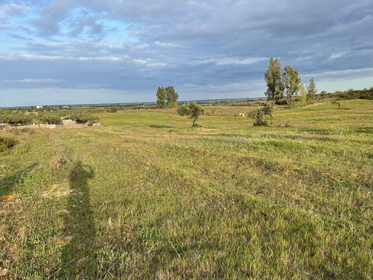 Finca rústica en venta - Andalucia - foto 4