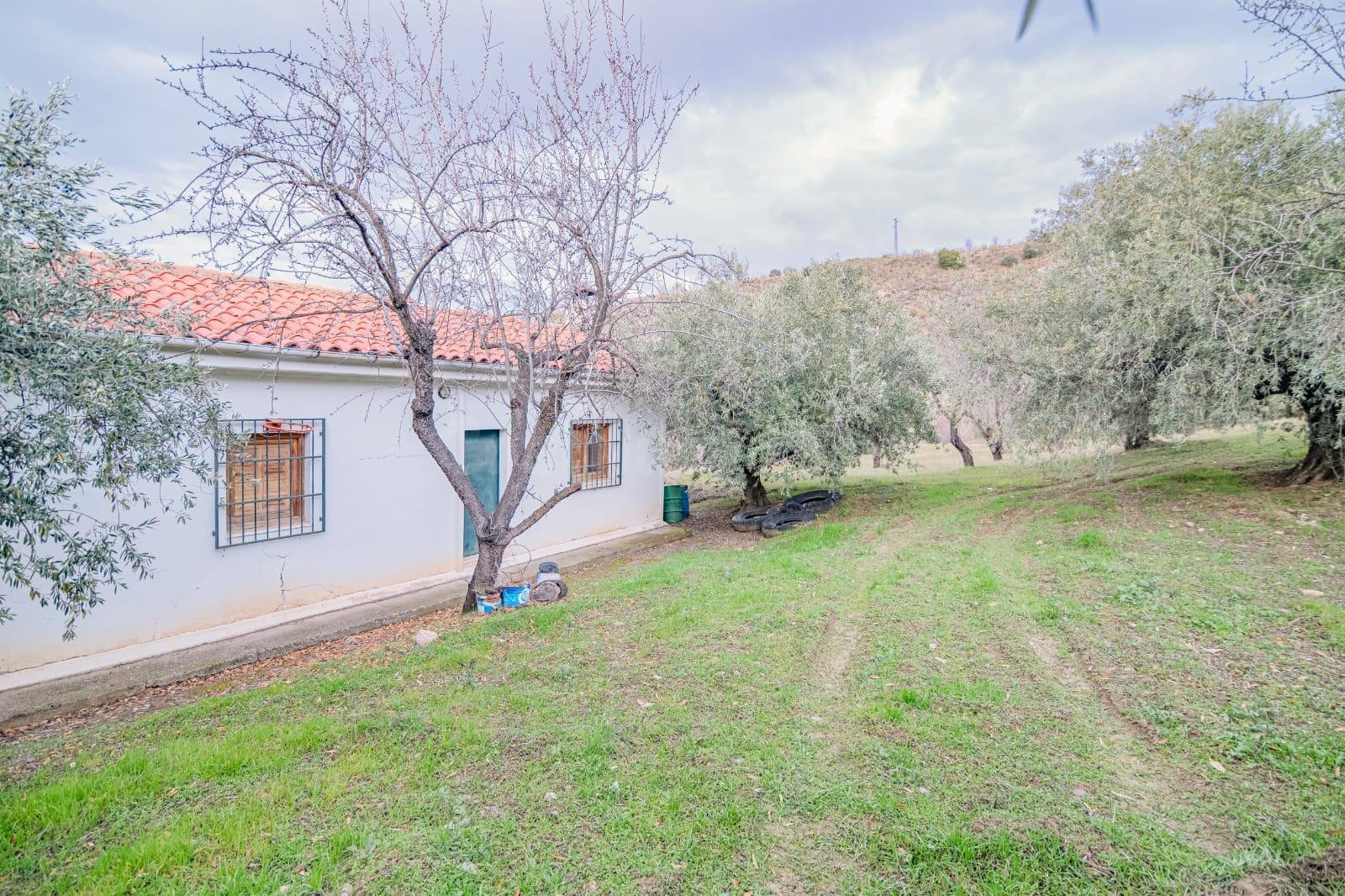 Finca en Pinos Génil - foto 2