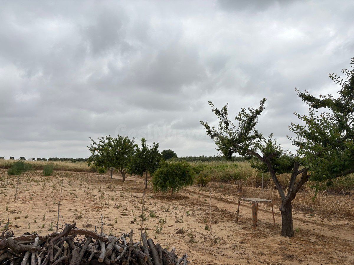 Finca rústica en venta - Bollullos par del condado - foto 2