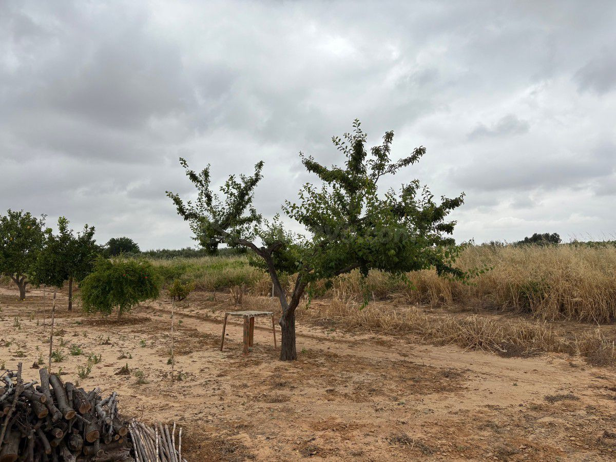 Finca rústica en venta - Bollullos par del condado - foto 3
