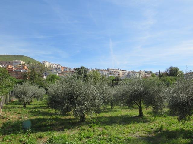 Finca en Cenes de la Vega - foto 5