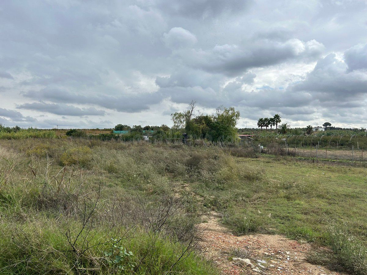 Terreno rural en venta - Andalucia - foto 2