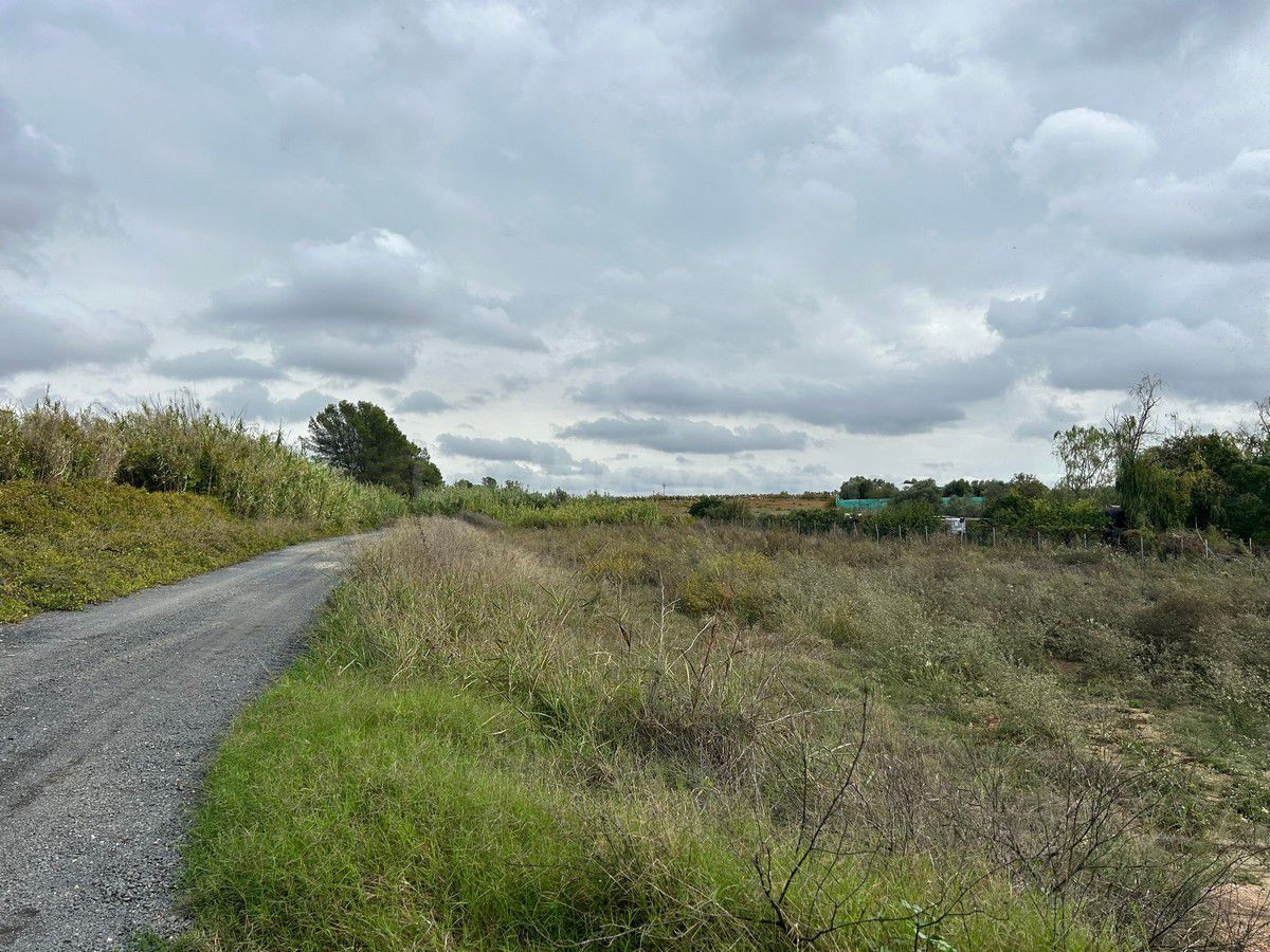 Terreno rural en venta - Andalucia - foto 3