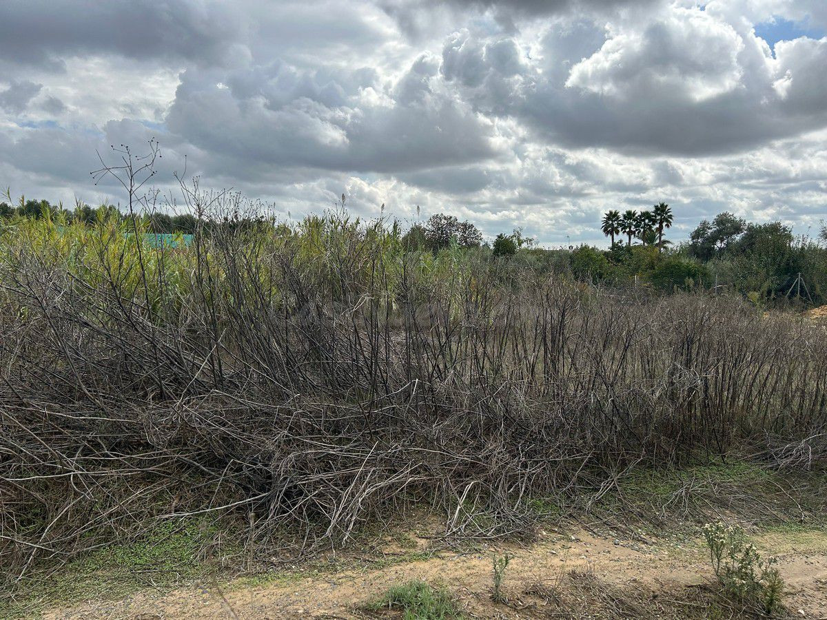 Terreno rural en venta - Andalucia - foto 4