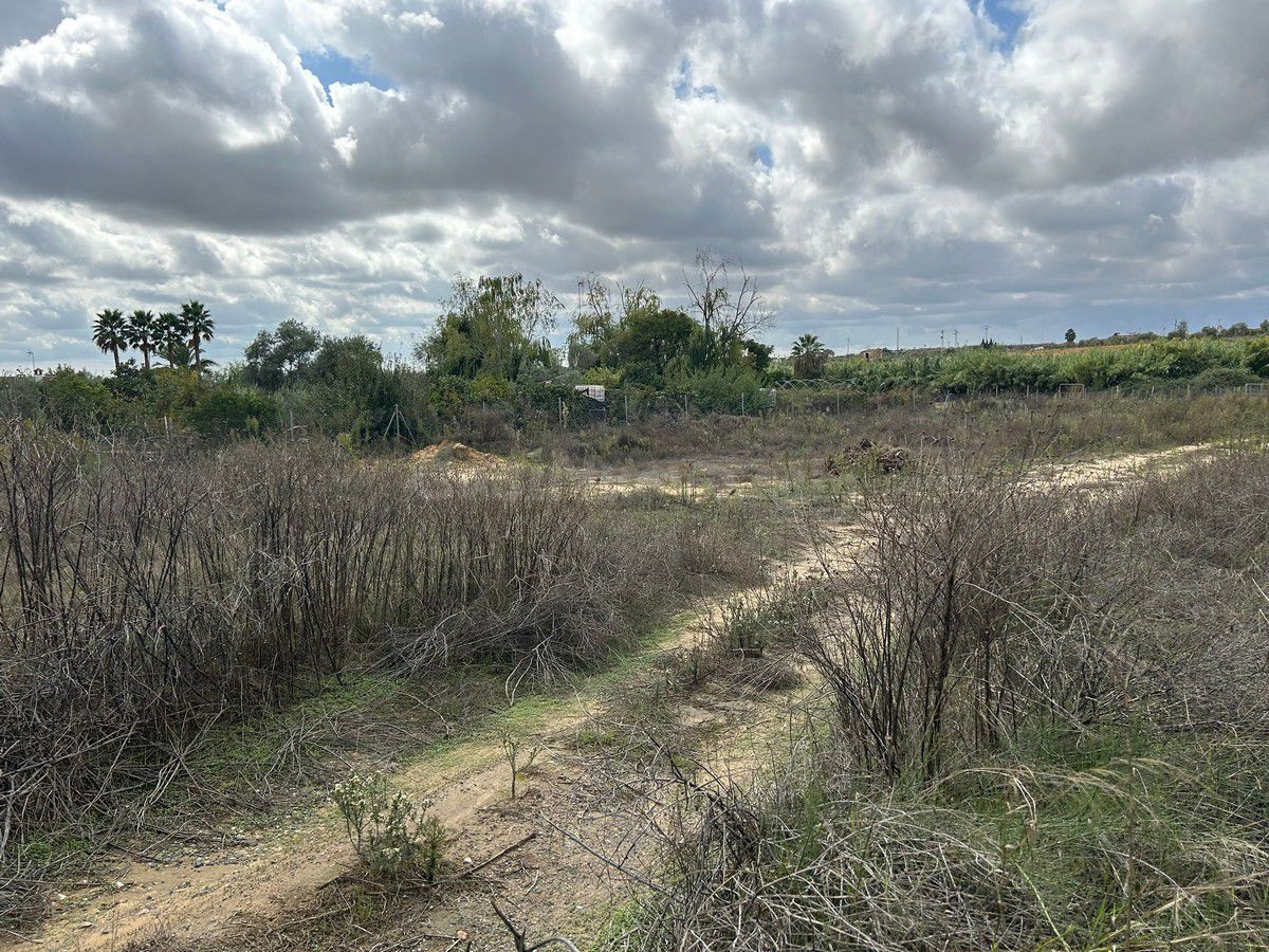 Terreno rural en venta - Andalucia - foto 5