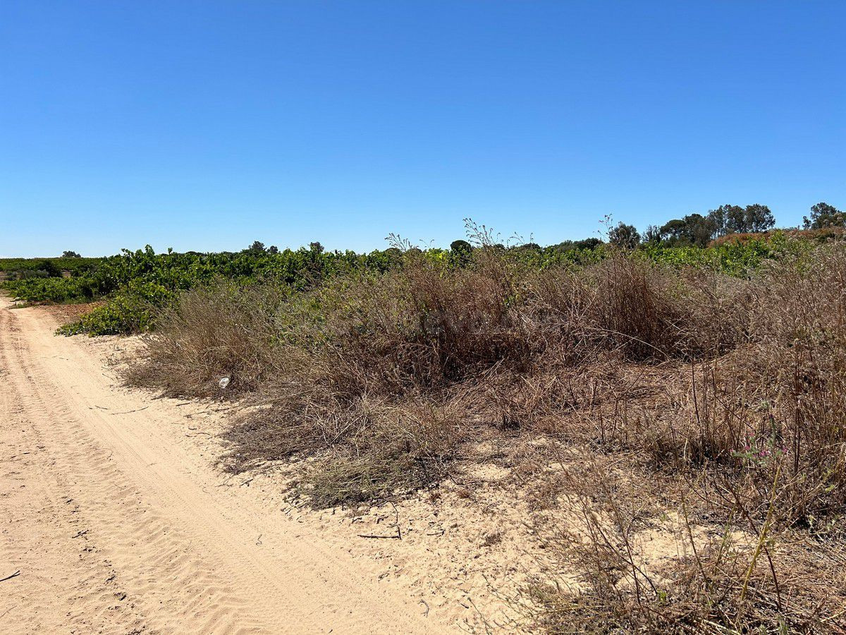 Terreno rural en venta - Andalucia - foto 5