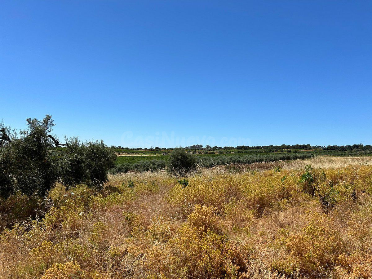 Terreno rural en venta - Andalucia