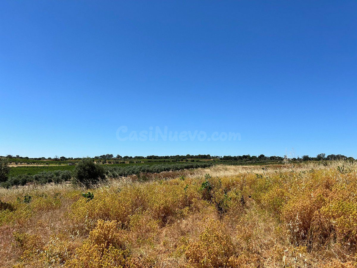 Terreno rural en venta - Andalucia - foto 2