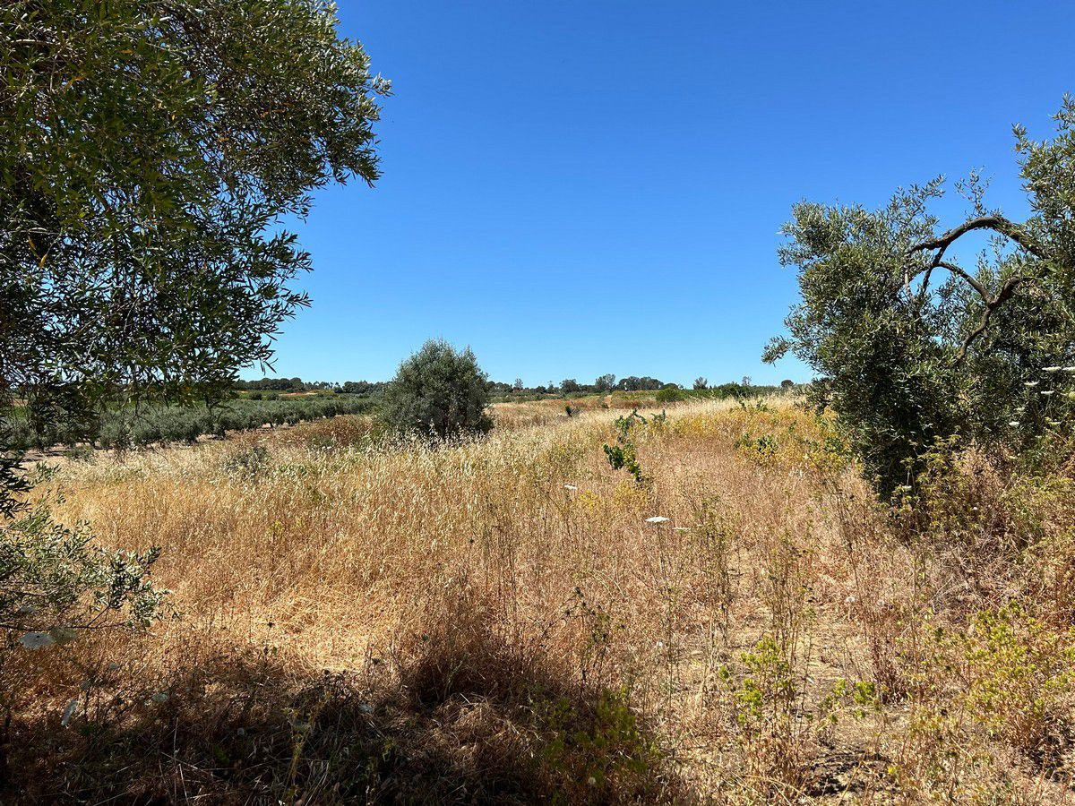 Terreno rural en venta - Andalucia - foto 3