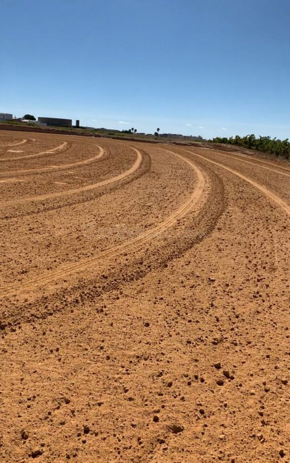 Terreno rural en venta - Bollullos par del condado - foto 2