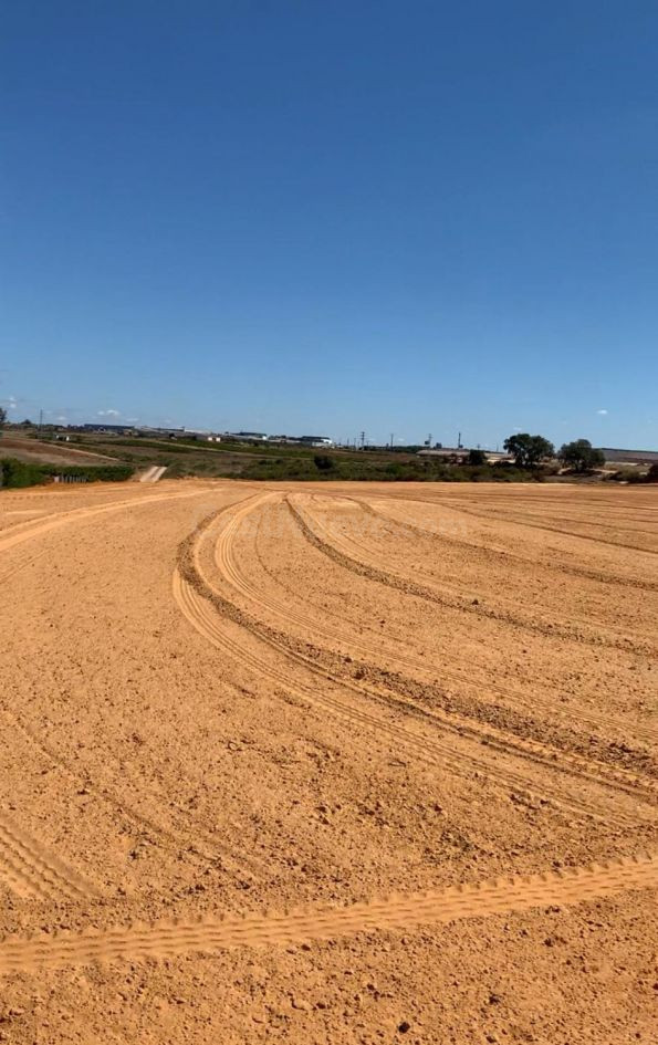 Terreno rural en venta - Bollullos par del condado - foto 3