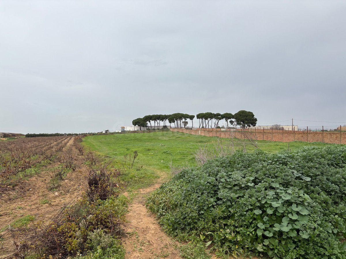 Solar en venta - Andalucia - foto 3