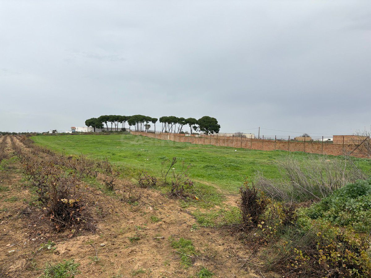 Solar en venta - Andalucia - foto 4