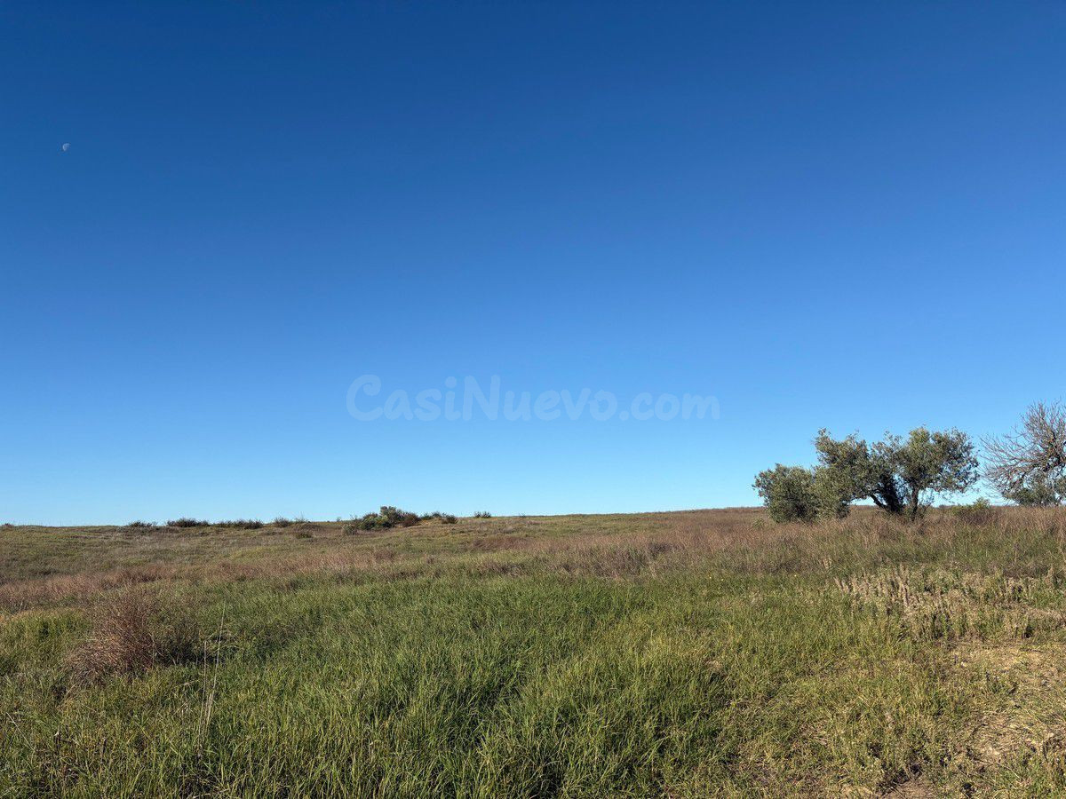 Finca rústica 1 habitación 0m² en venta - Almonte