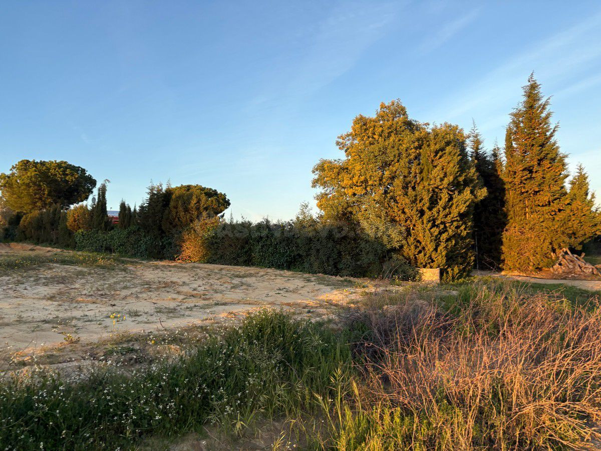 Finca rústica en venta - Andalucia - foto 4