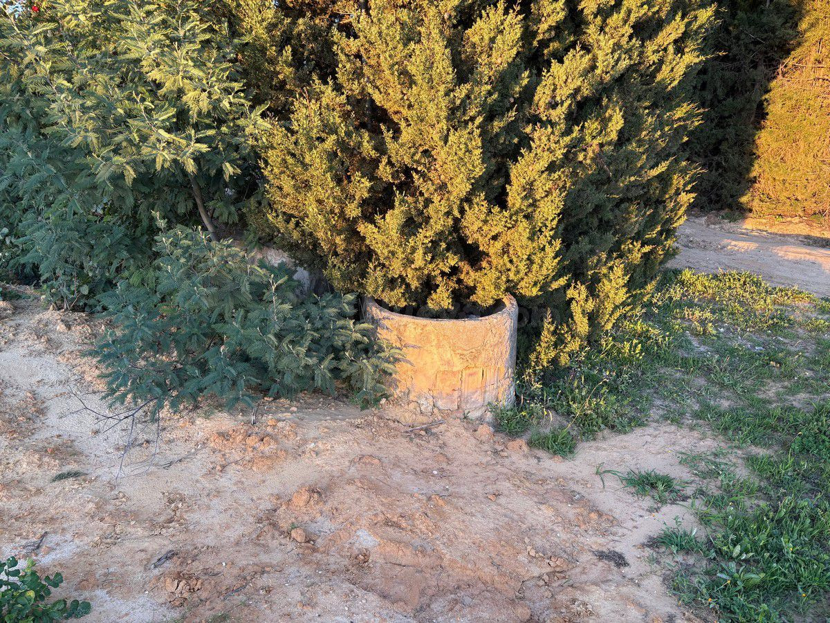 Finca rústica en venta - Andalucia - foto 5