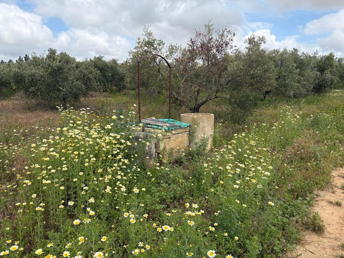 Finca rústica en venta - Andalucia