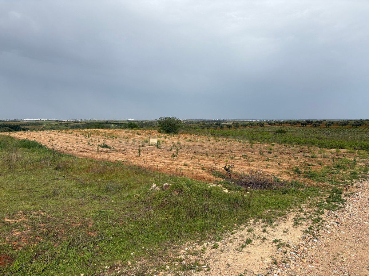 Terreno rural en venta - Andalucia - foto 5