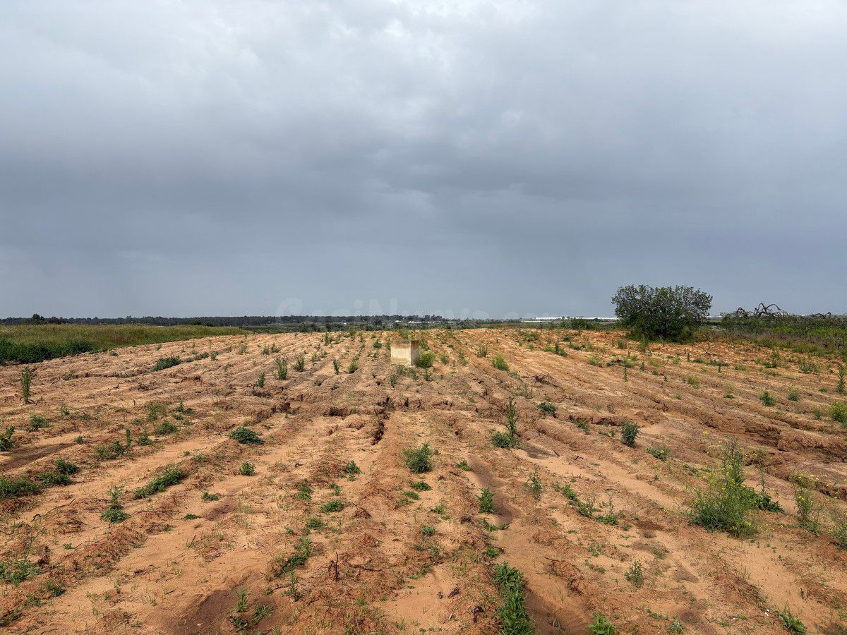 Terreno rural en venta - Andalucia