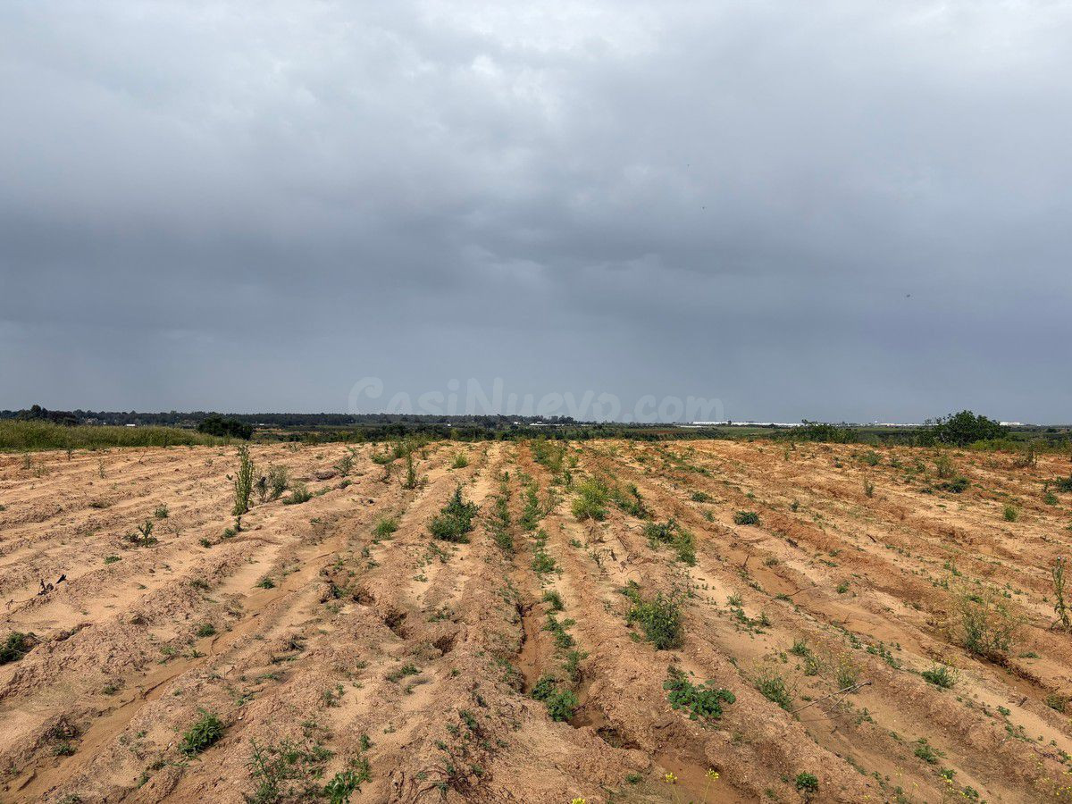 Terreno rural en venta - Andalucia - foto 2