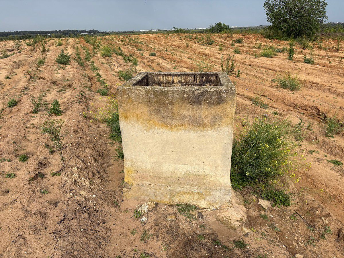 Terreno rural en venta - Andalucia - foto 3