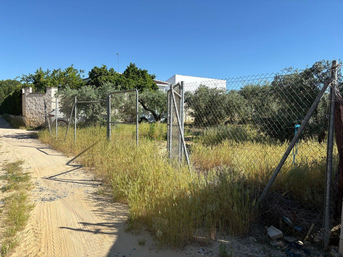 Terreno rural en venta - Andalucia - foto 5