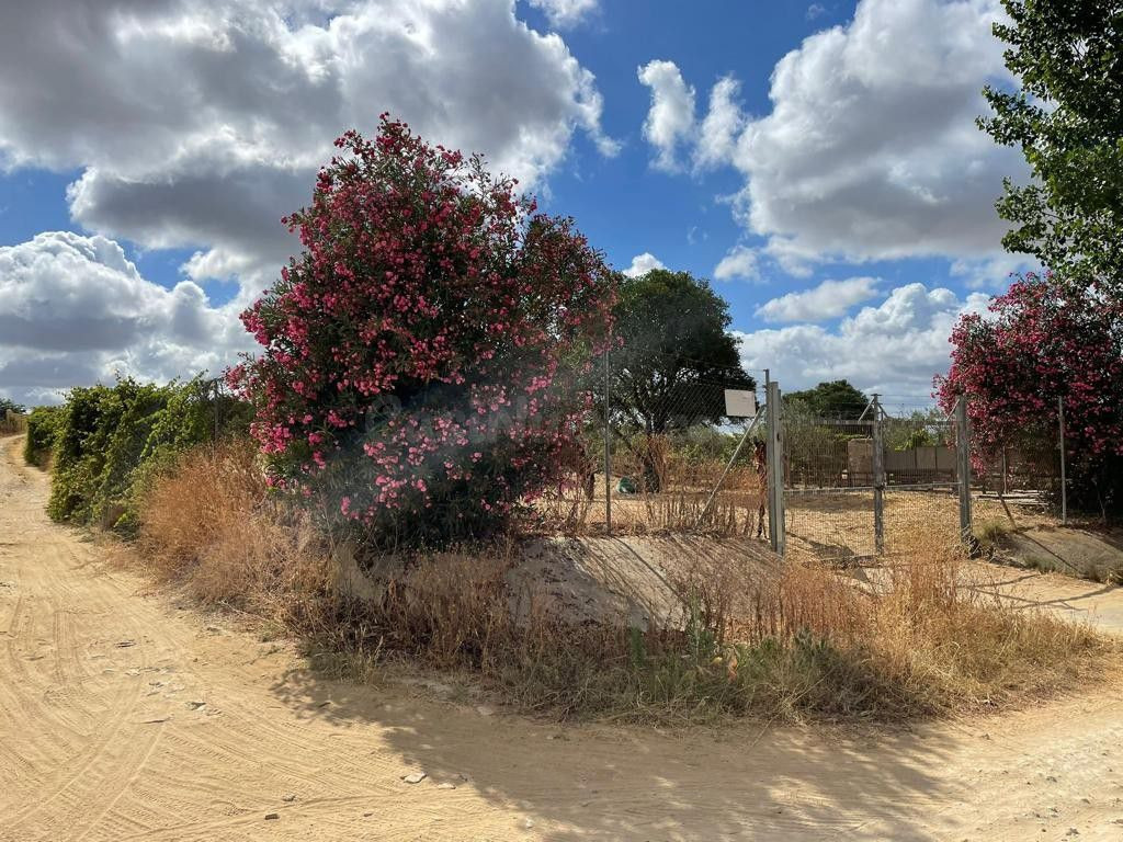 Terreno rural en venta - Andalucia
