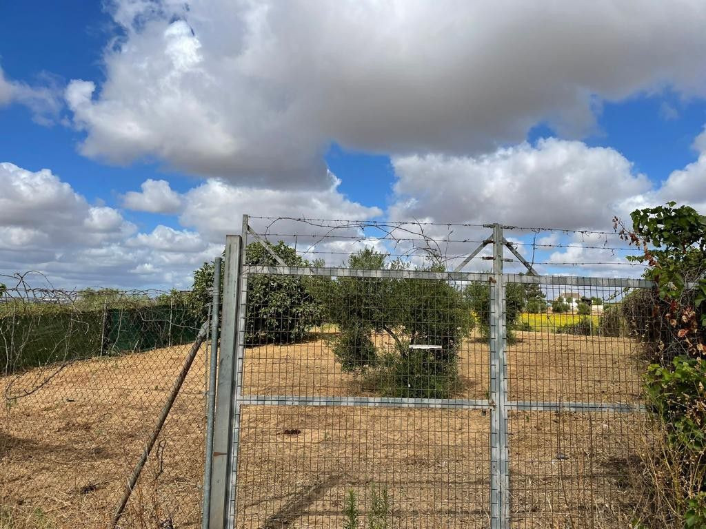 Terreno rural en venta - Andalucia - foto 2