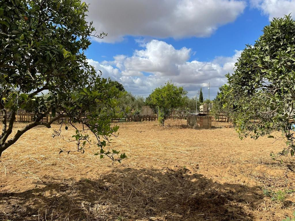 Terreno rural en venta - Andalucia - foto 3