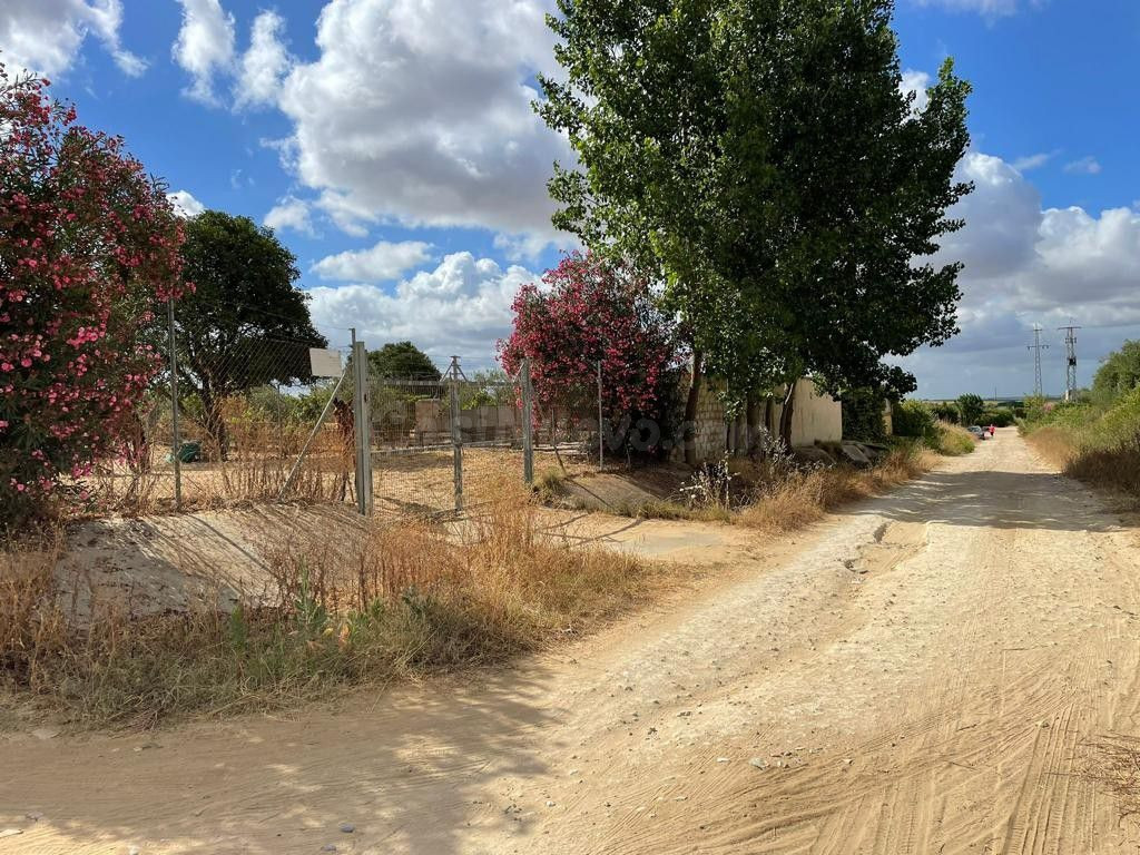 Terreno rural en venta - Andalucia - foto 4