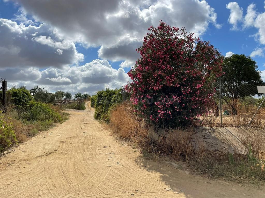 Terreno rural en venta - Andalucia - foto 5