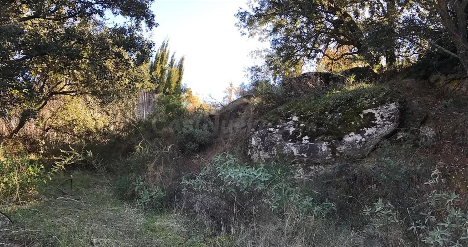 Apartamento en venta - Andalucia - foto 4