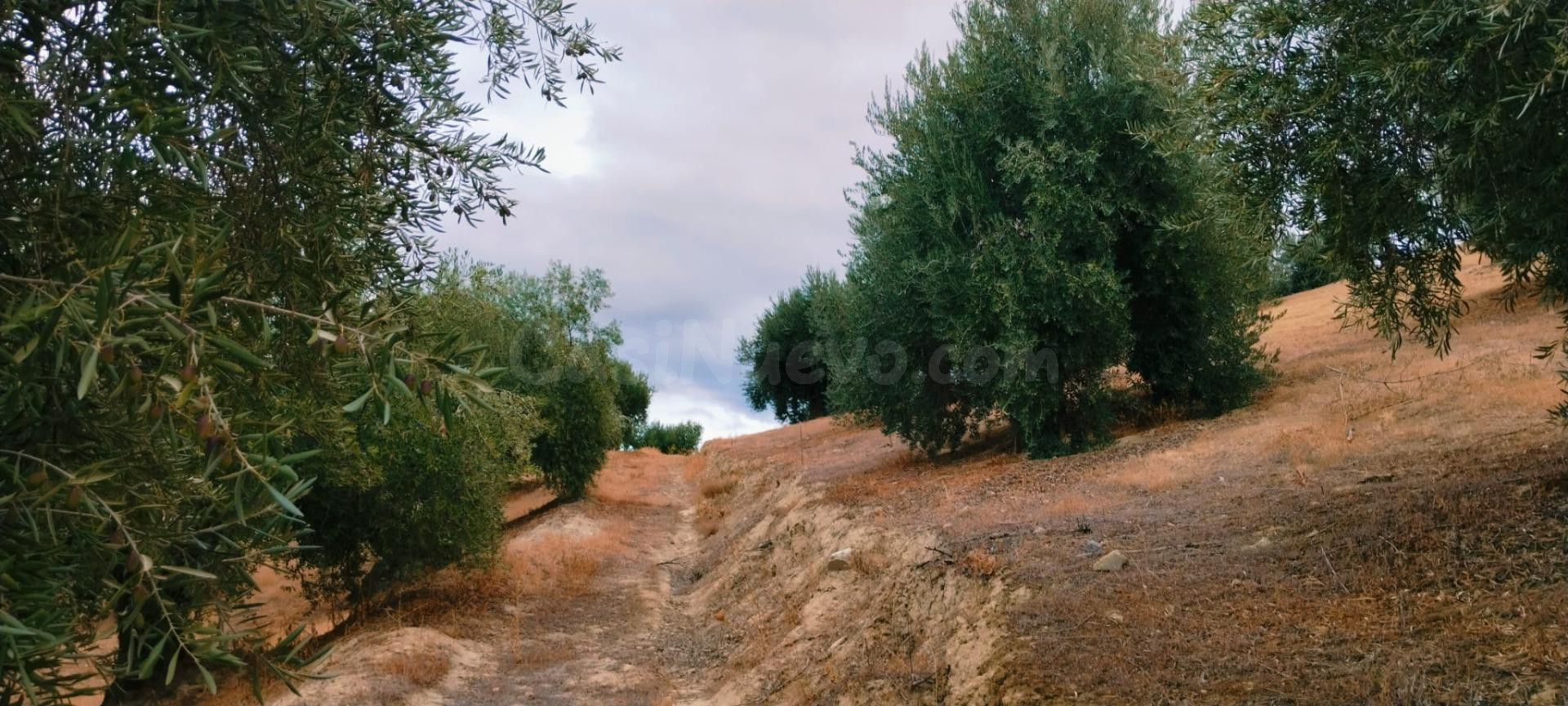 Apartamento en venta - Andalucia - foto 2