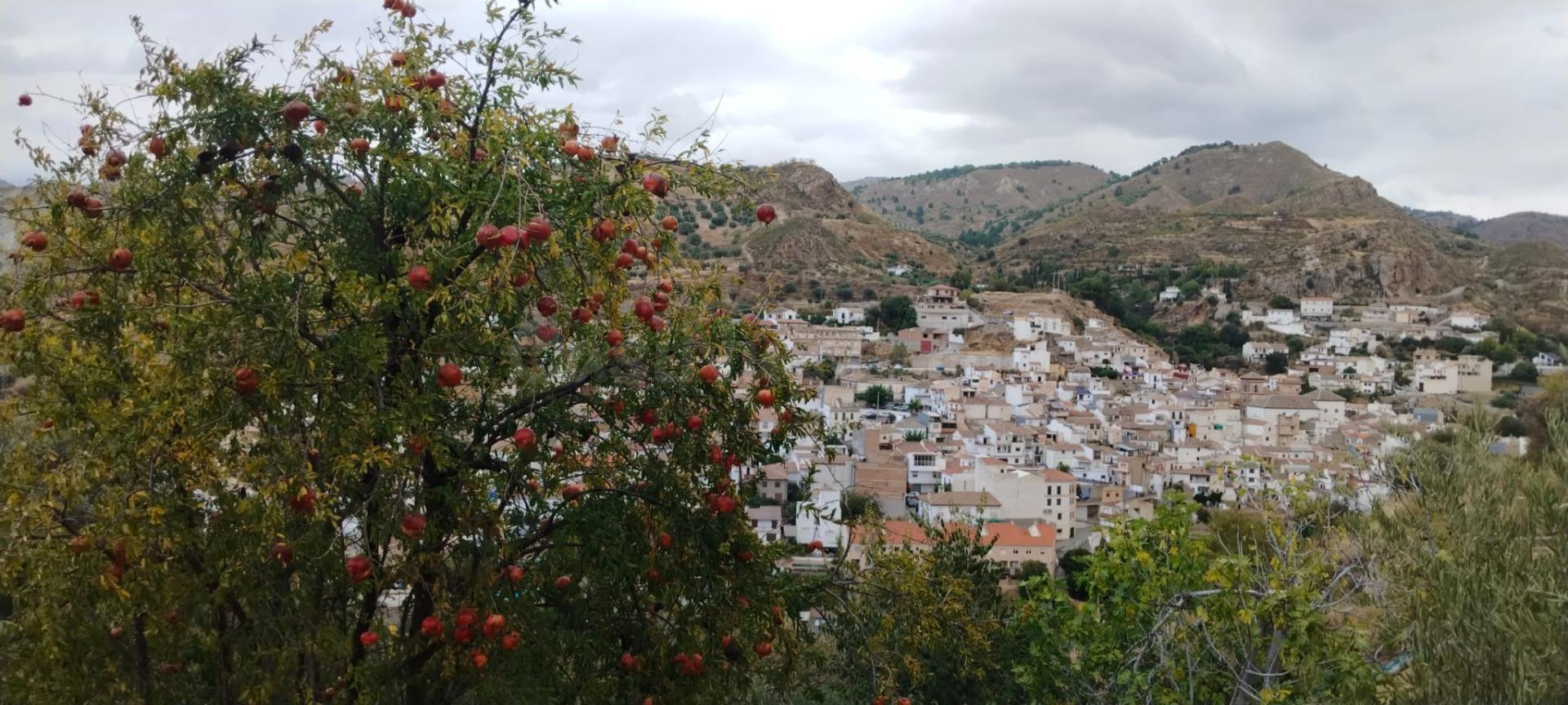 Apartamento en venta - Andalucia - foto 3