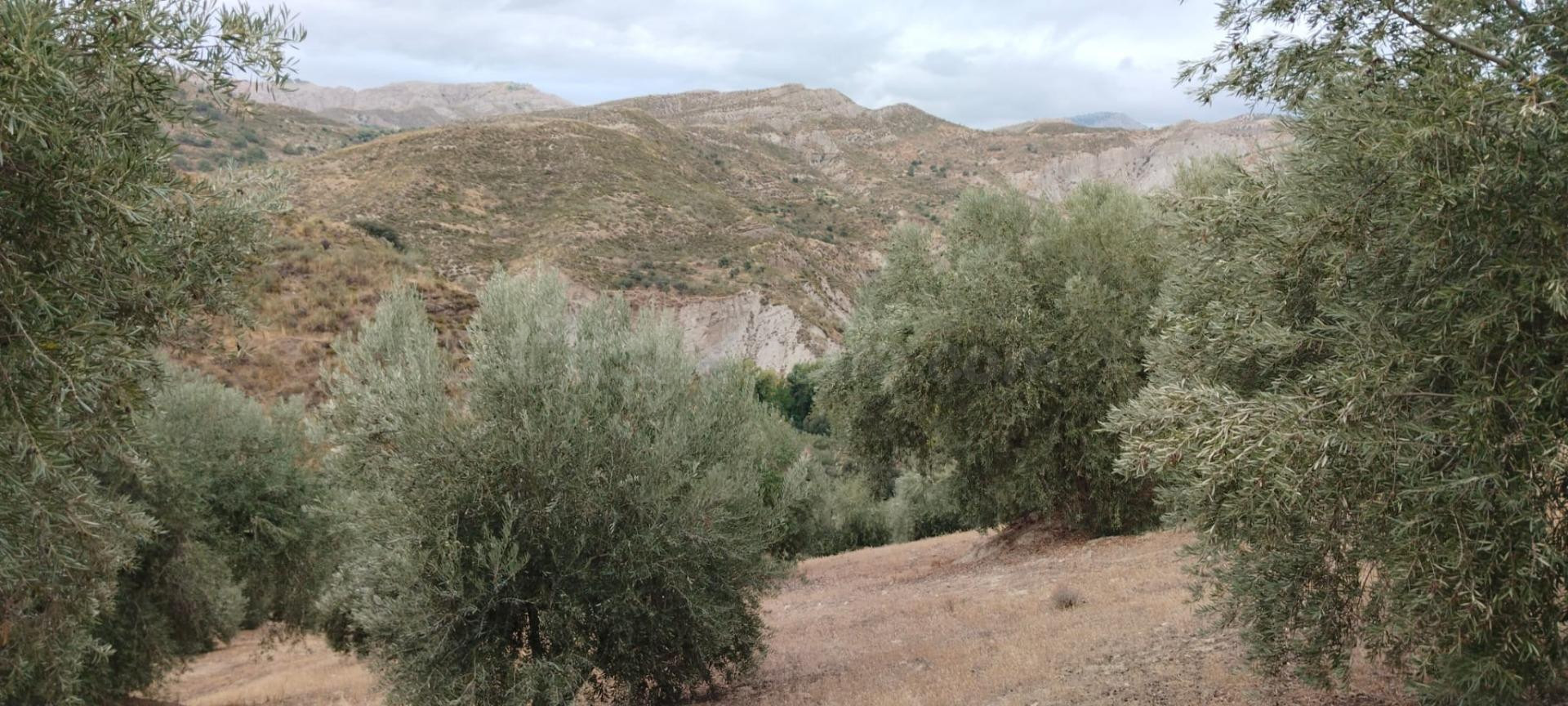 Apartamento en venta - Andalucia - foto 5