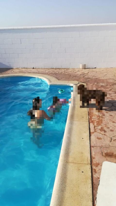 Finca rústica 450m² en venta - Bollullos par del condado