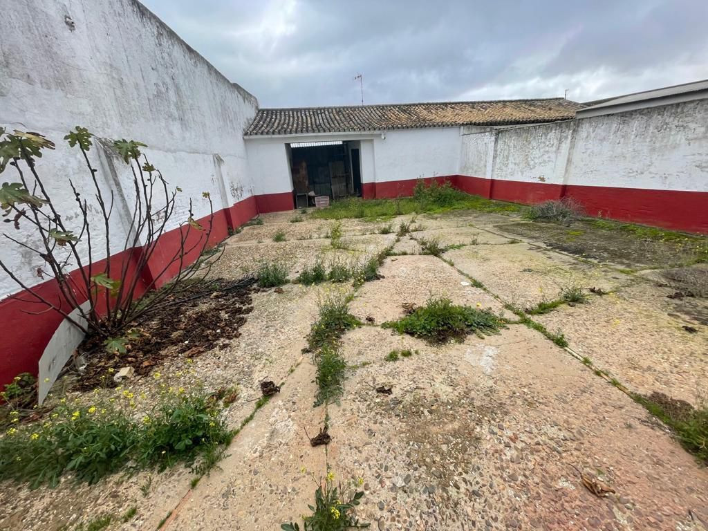 GRAN LOCAL DE ALQUILER EN BOLLULLOS PARA UNA EMPRESA DE PANI - foto 2