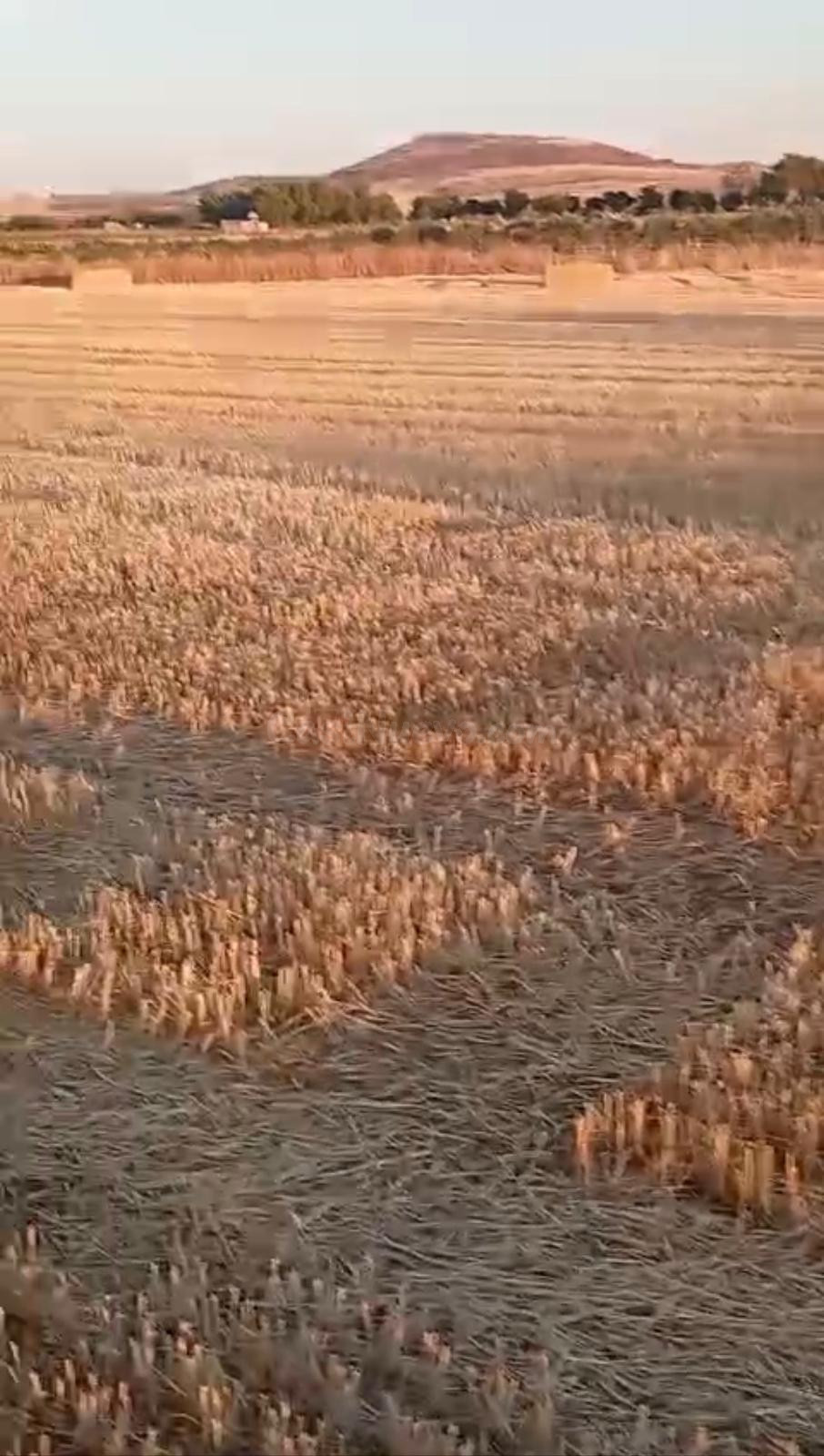 FINCA RUSTICA EN ALMAGRO, CIUDAD REAL, ESPAÑA - foto 5