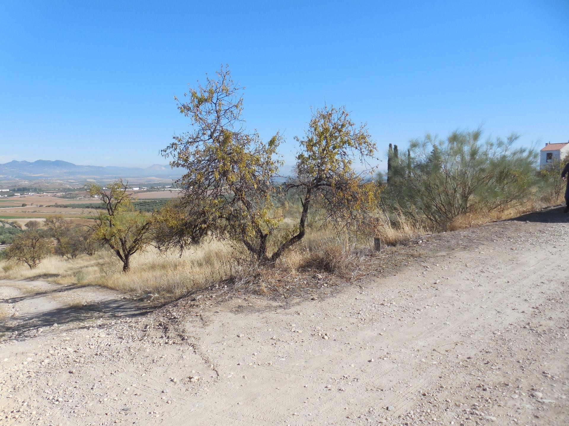 Apartamento en venta - Andalucia - foto 3