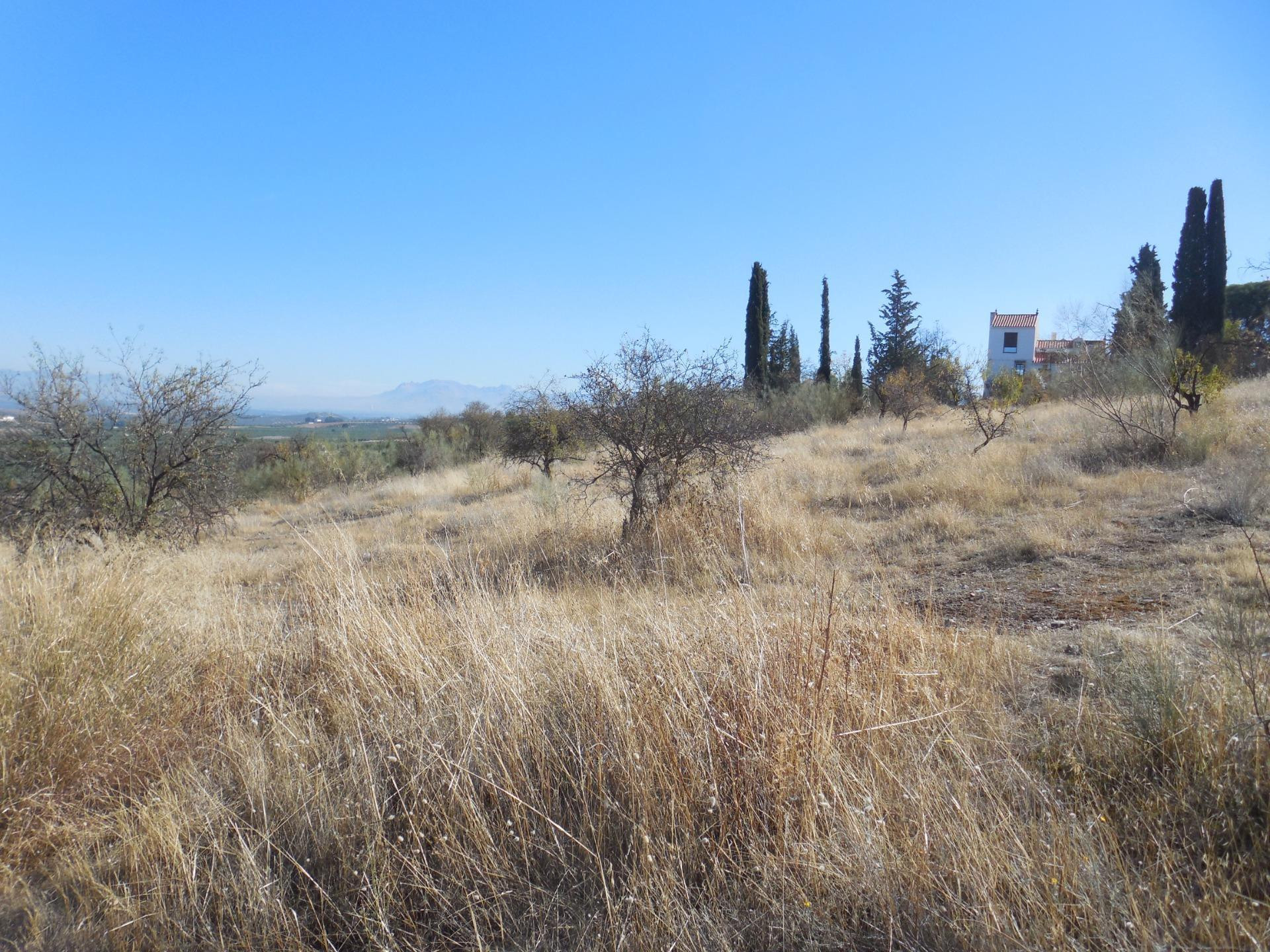 Apartamento en venta - Andalucia - foto 4