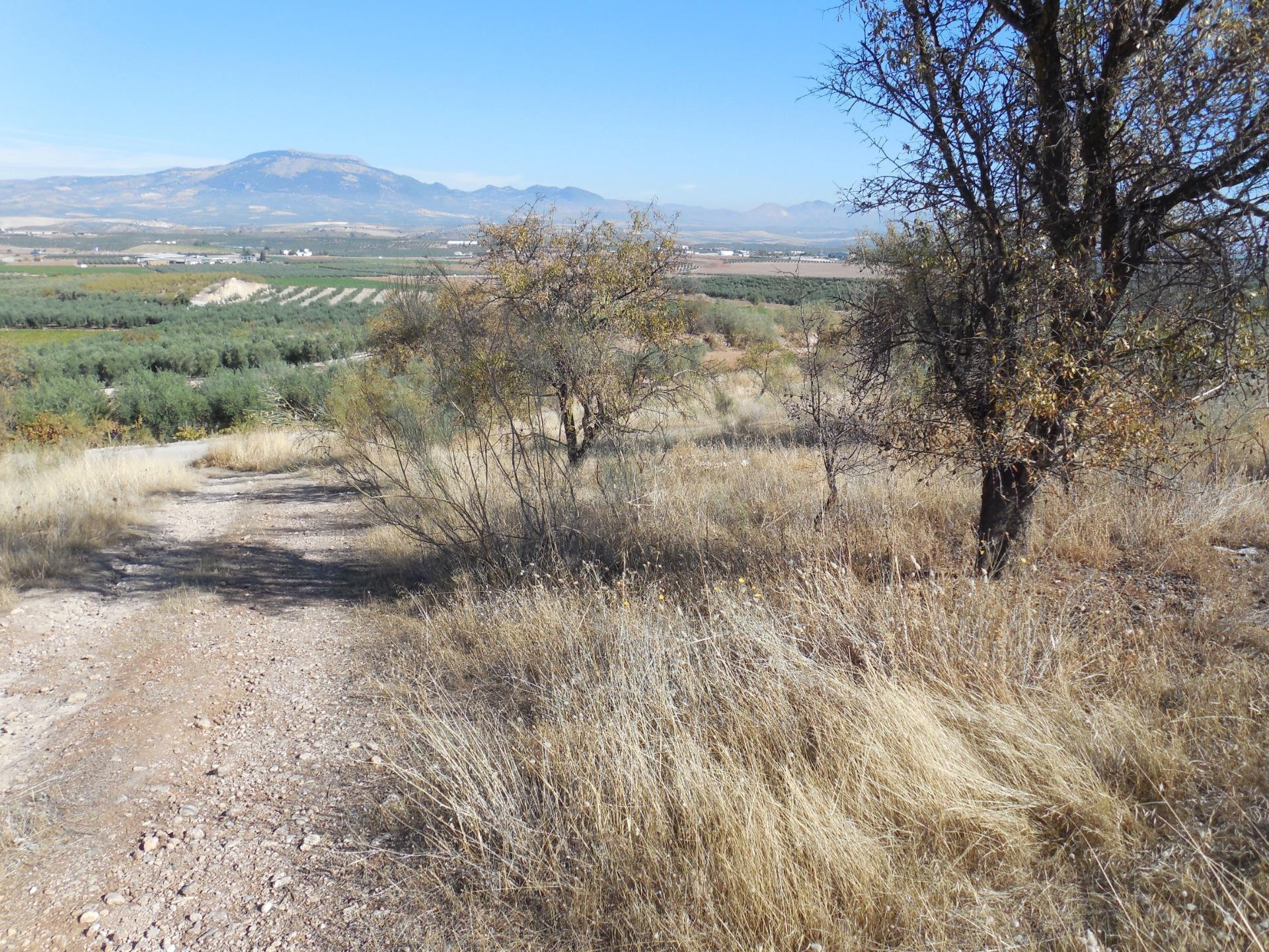 Apartamento en venta - Andalucia - foto 5