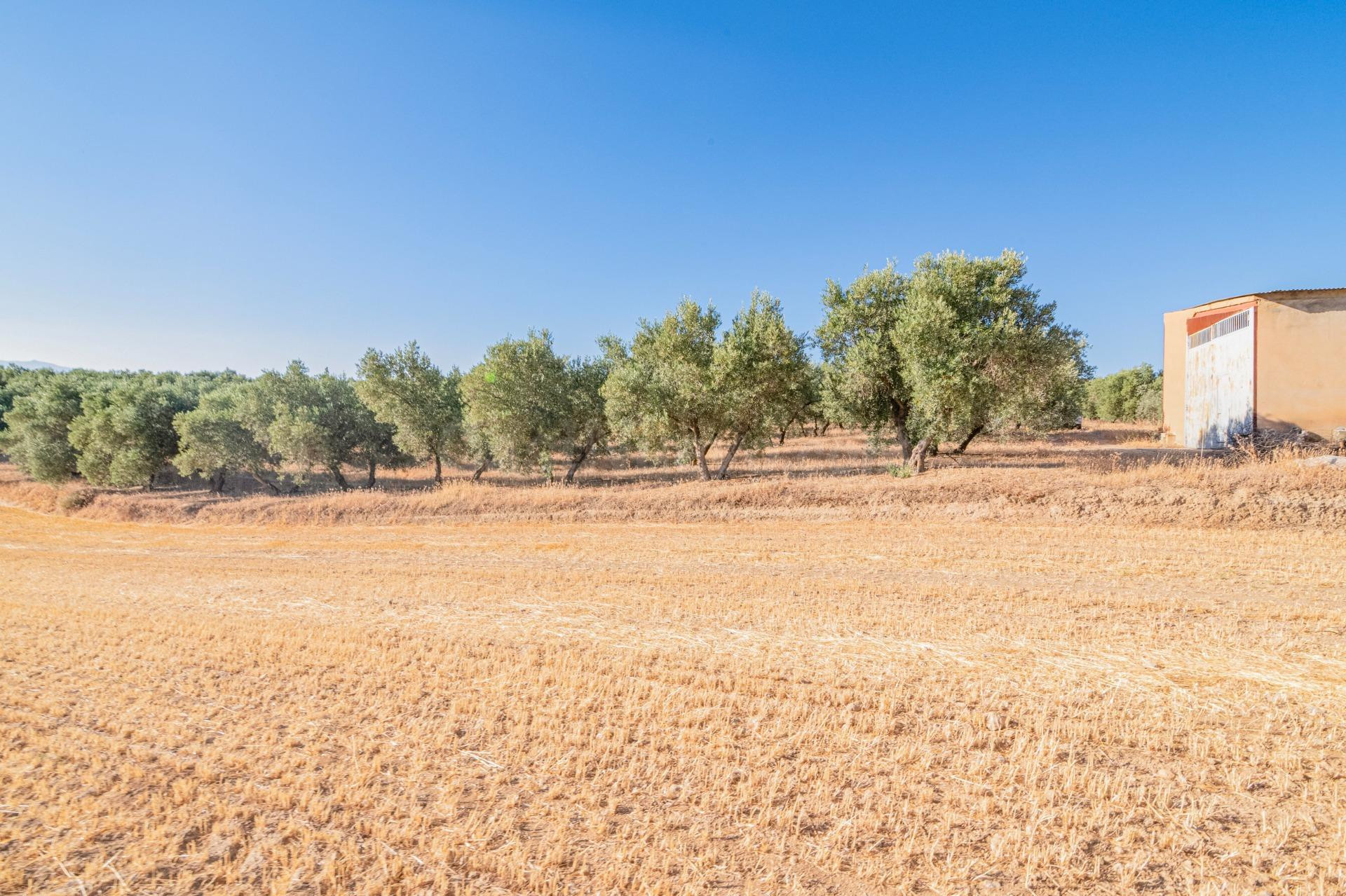 Terreno rural 150m² en venta - AEROPUERTO