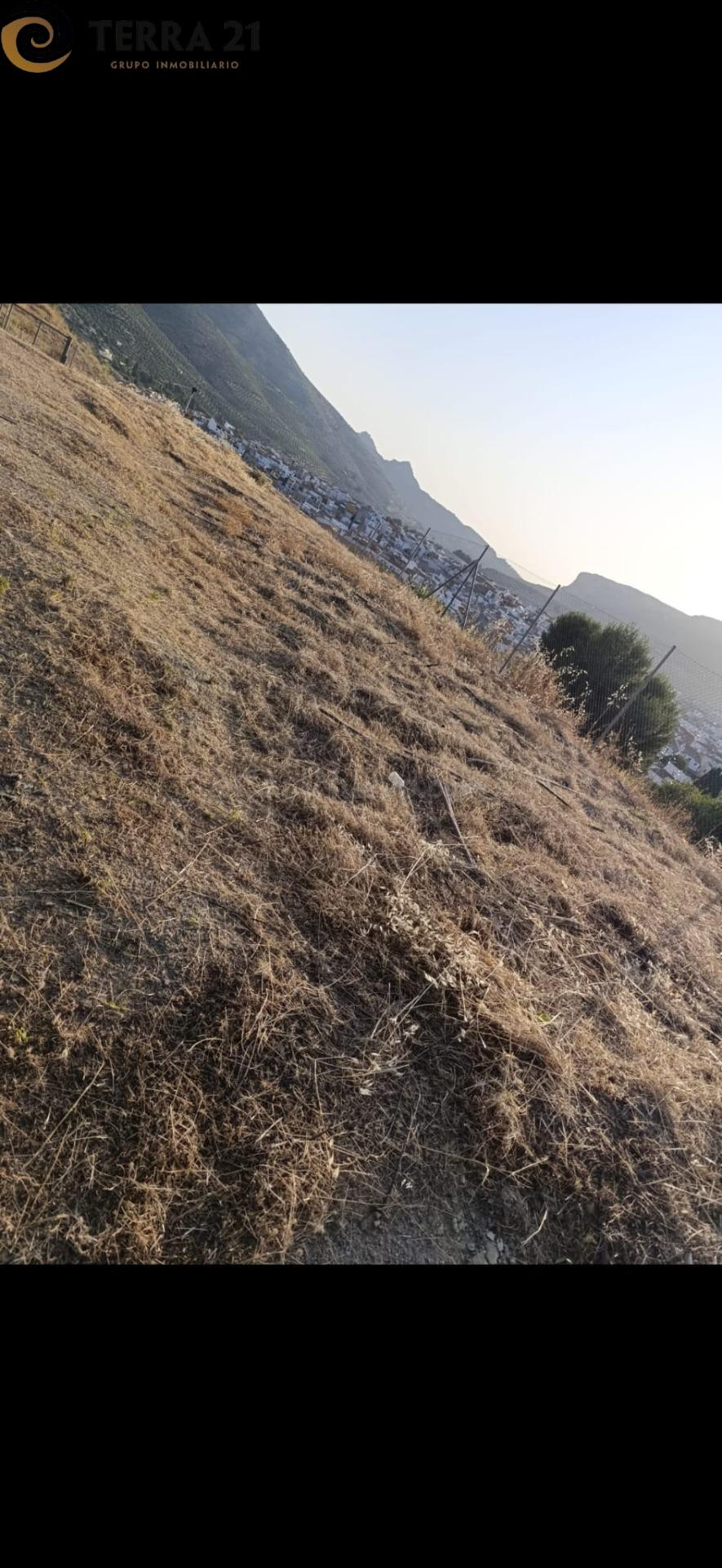 Oportunidad de Inversión: Terreno Urbanizable en Los Villare - foto 3