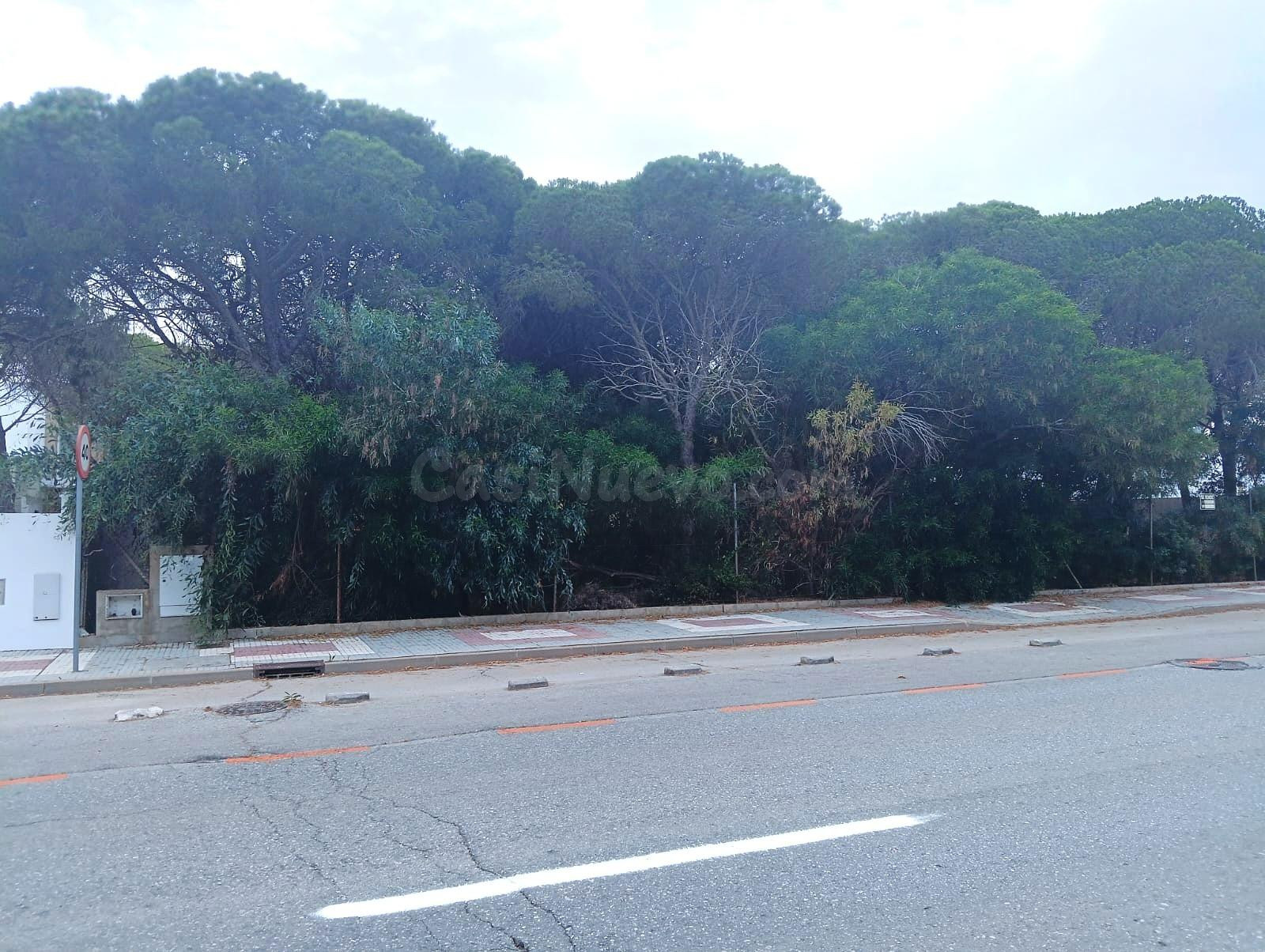 PARCELA URBANA EN LA BARROSA DE 2100M - foto 2