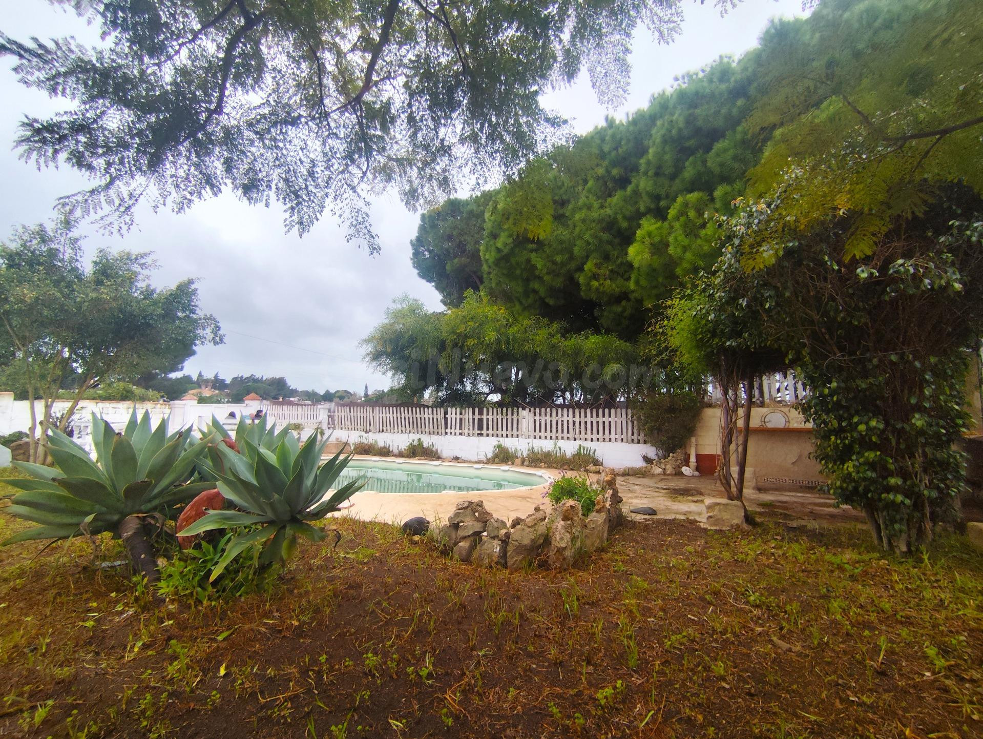 GRAN OPORTUNIDAD CHALET ZONA PINAR FRANCESES - foto 4