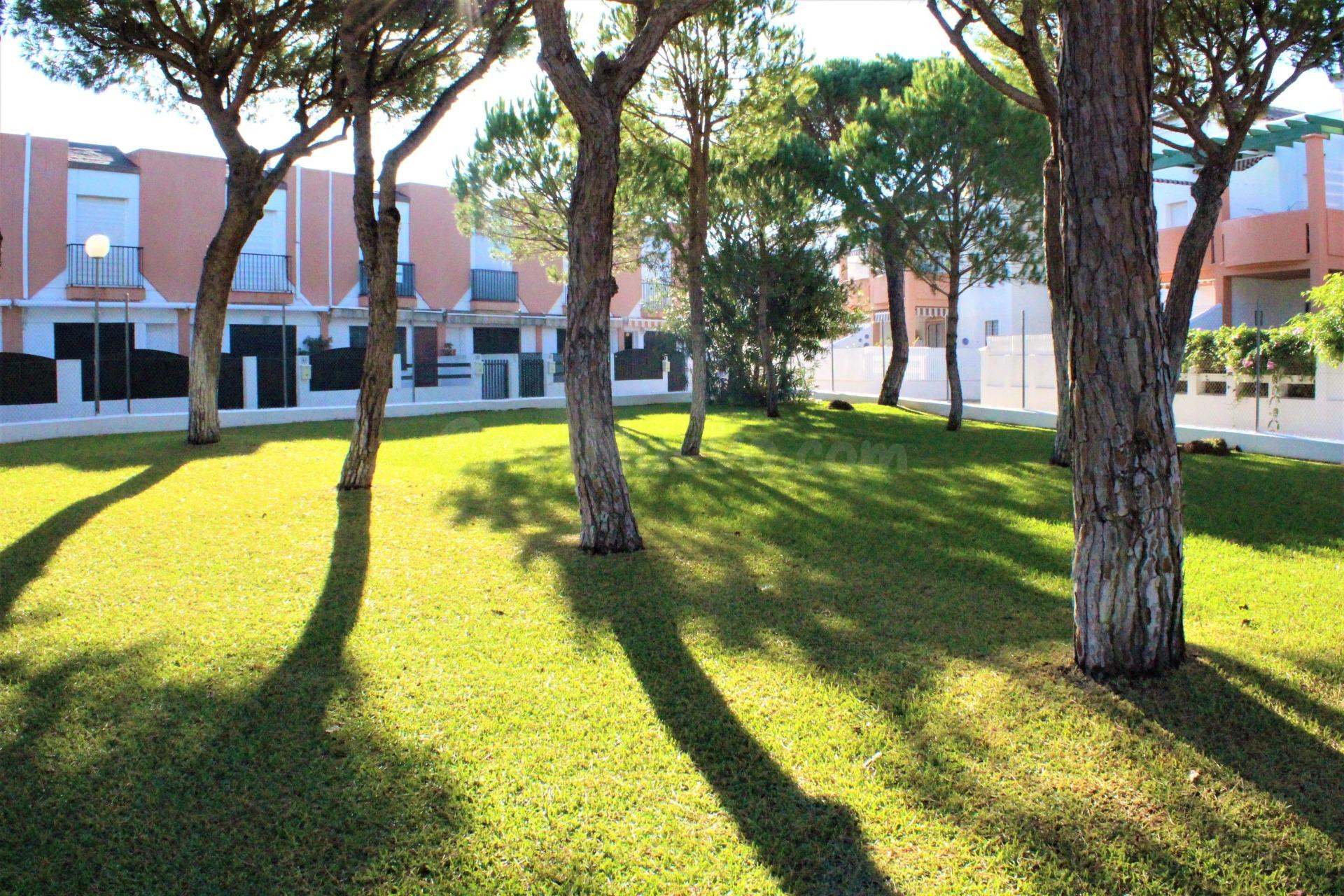 APARTAMENTO EN SEGUNDA PISTA DE LA BARROSA - foto 5