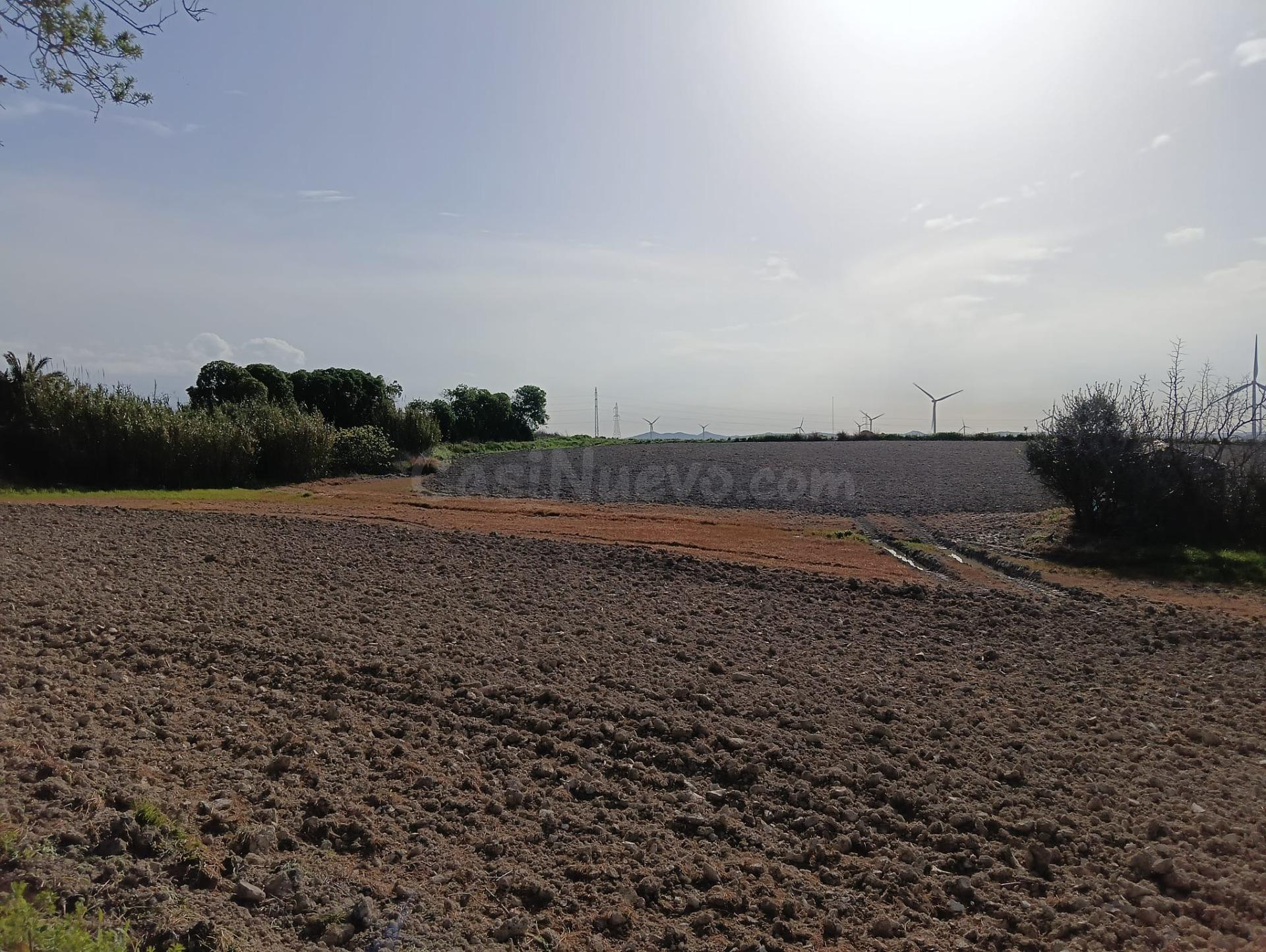 Parcela rustica de 9353 m en la zona de Las Cañadillas en Ch - foto 4