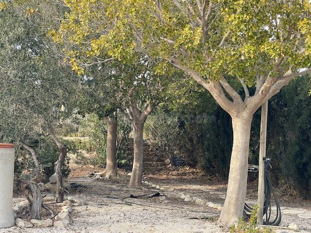 Casa independiente a la venta en Agost con piscina independi - foto 3