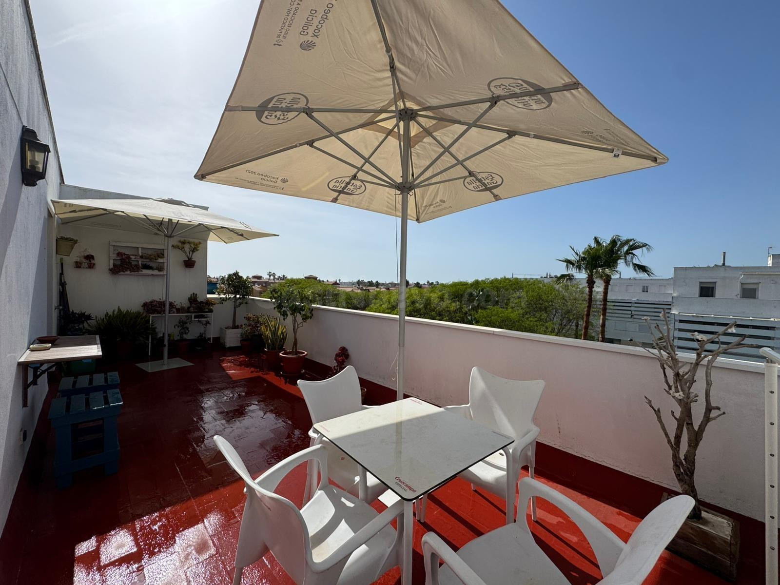 Encantador Apartamento en Playa del Lar, Costa Ballena - foto 4