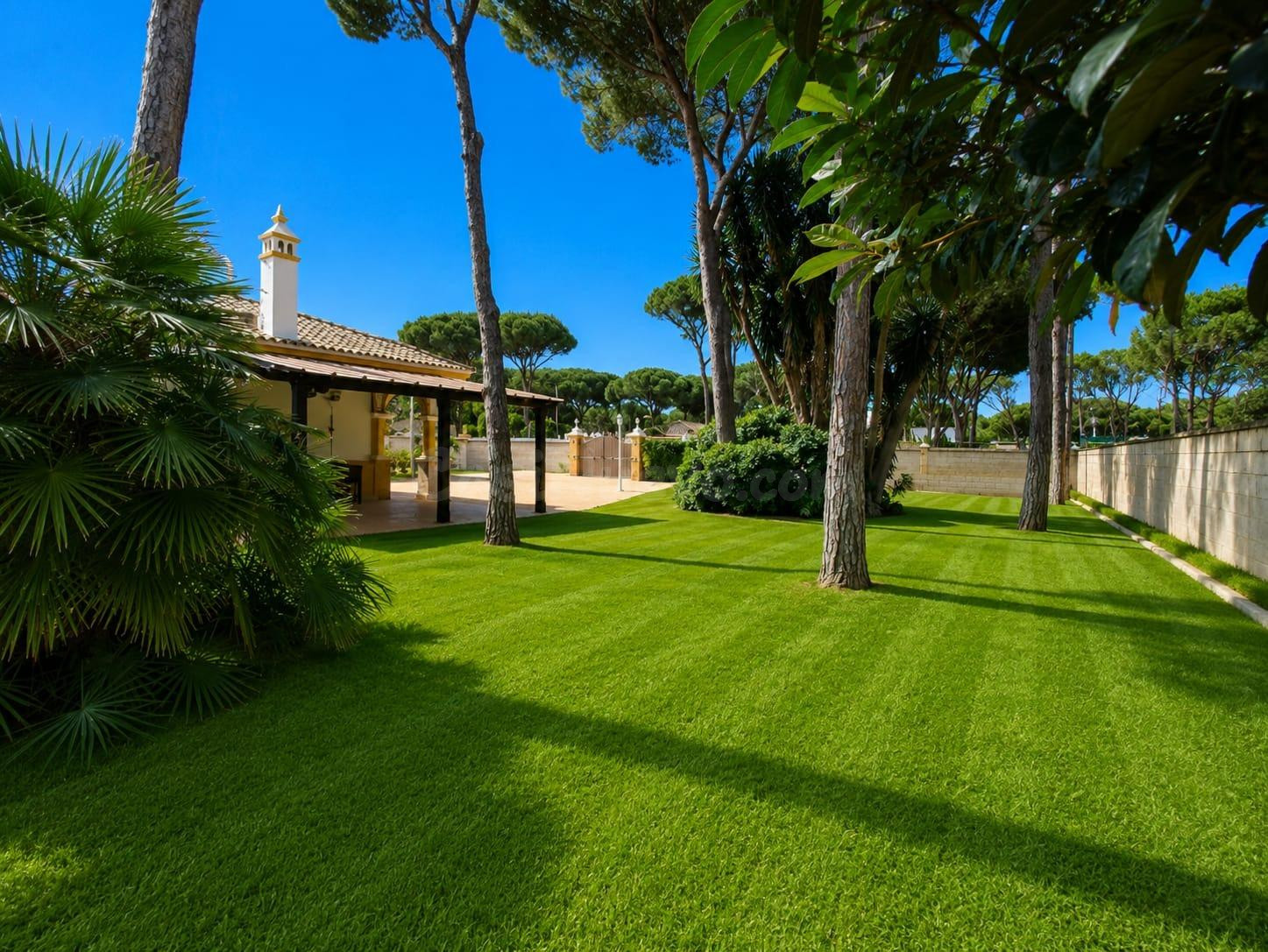 CHALET EN LA RANA VERDE - foto 4
